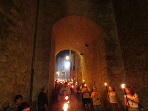 Diada Nacional 2014. La Marxa de Torxes