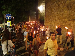 Diada Nacional 2014. La Marxa de Torxes