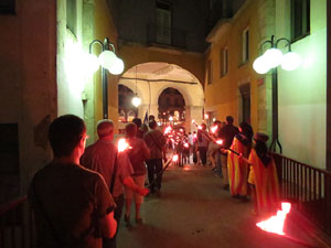 Diada Nacional 2014. La Marxa de Torxes