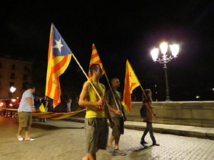 Diada Nacional 2014. La Marxa de Torxes