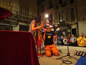 Diada Nacional 2014. La Marxa de Torxes