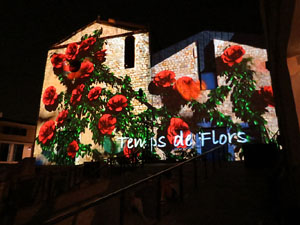 Girona, ciutat de festivals. Festival Internacional de Mapping, FIMG. Centre Cultural la Merc&egrave;