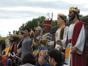 Fires de Sant Narc&iacute;s 2013. Trobada de gegants