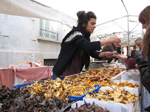 Fires de Sant Narc&iacute;s 2013. La Fira de Tots Sants