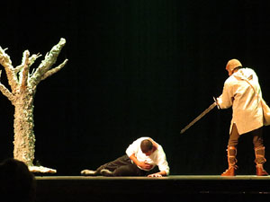Festival Internacional de Teatre Amateur FITAG. Espectacle inaugural
