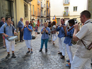 Arribada de la Flama del Canig&oacute; 2014