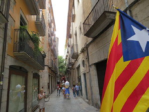 Arribada de la Flama del Canig&oacute; 2014