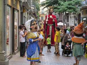 Arribada de la Flama del Canig&oacute; 2014