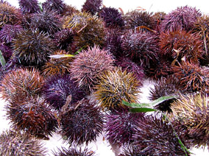 Girona10. Mercat del Lle&oacute;. Tastets gastron&ograve;mics