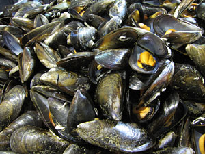 Girona10. Mercat del Lle&oacute;. Tastets gastron&ograve;mics