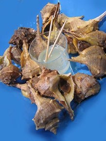 Girona10. Mercat del Lle&oacute;. Tastets gastron&ograve;mics