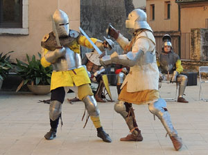 Taller sobre la vida militar i l'her&agrave;ldica a la Girona medieval