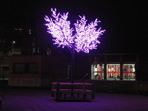 Els carrers il&middot;luminats per Nadal
