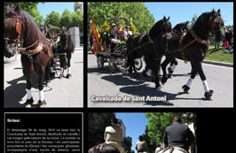 Anar