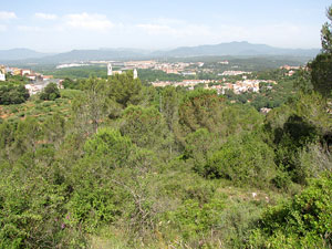 La ruta del fort del Calvari