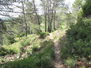 La ruta del fort del Calvari