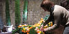 Temps de Flors: el making of