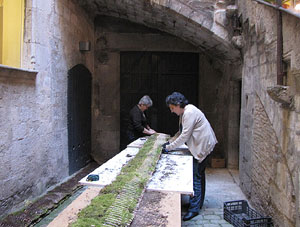 Girona Temps de Flors 2014. Preparaci&oacute; dels muntatges florals