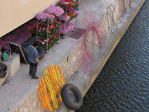 Girona Temps de Flors 2014. Preparaci&oacute; dels muntatges florals