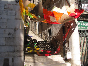 Girona Temps de Flors 2014. Carrer de Miquel Oliva