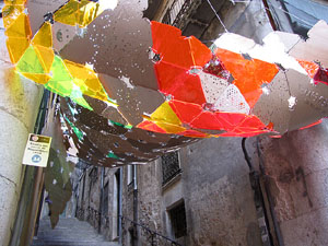 Girona Temps de Flors 2014. Carrer de Miquel Oliva