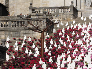 Girona Temps de Flors 2014. Les escales de la Catedral