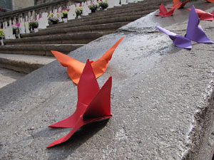 Girona Temps de Flors 2014. Les escales de la Catedral