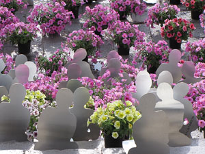 Girona Temps de Flors 2014. Les escales de la Catedral
