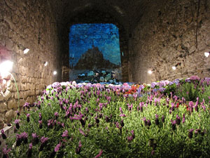 Girona Temps de Flors 2014. Torre Gironella - Jardins dels Alemanys