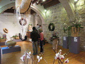 Girona Temps de Flors 2014. Pujada de Sant Dom&egrave;nec, la Casa Agullana, el Palau de Caramany i Cromats Ensesa