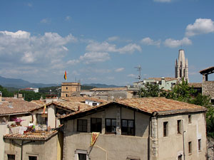 Girona Temps de Flors 2014. Sant Dom&egrave;nec i el mirador dels Maristes