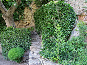 Girona Temps de Flors 2014. Capella de Sant Nicolau, Casa D&iacute;az-Tarrag&oacute; i Jard&iacute; de l'&Agrave;ngel
