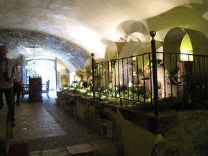 Girona Temps de Flors 2014. Capella de Sant Nicolau, Casa D&iacute;az-Tarrag&oacute; i Jard&iacute; de l'&Agrave;ngel