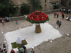 Girona Temps de Flors 2014. Jardins del Dr. Figueres -  Pla&ccedil;a dels Jurats