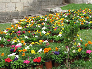 Girona Temps de Flors 2014. Jardins del Dr. Figueres -  Pla&ccedil;a dels Jurats