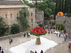Girona Temps de Flors 2014. Jardins del Dr. Figueres -  Pla&ccedil;a dels Jurats