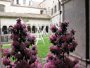 Girona Temps de Flors 2014. El claustre de la Catedral