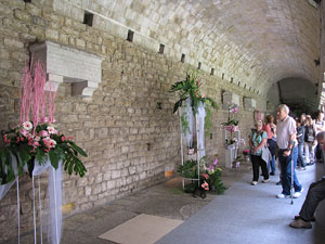 Girona Temps de Flors 2014. El claustre de la Catedral