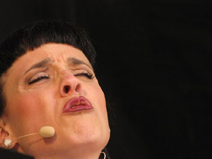 Girona Temps de Flors 2014. M&uacute;sica i Flors: actuacions musicals a Girona