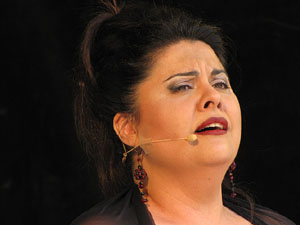 Girona Temps de Flors 2014. M&uacute;sica i Flors: actuacions musicals a Girona