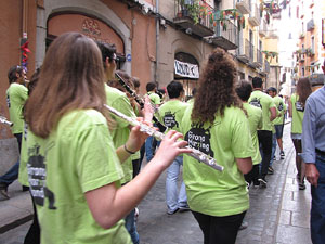 Girona Temps de Flors 2014. M&uacute;sica i Flors: actuacions musicals a Girona