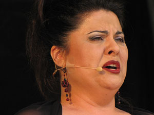 Girona Temps de Flors 2014. M&uacute;sica i Flors: actuacions musicals a Girona