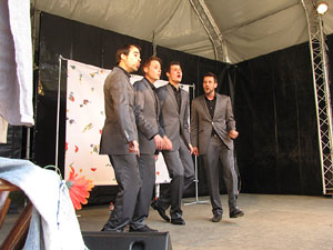 Girona Temps de Flors 2014. M&uacute;sica i Flors: actuacions musicals a Girona