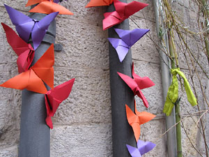 Girona Temps de Flors 2014. Pla&ccedil;a del Vi - Teatre Municipal