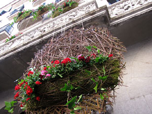 Girona Temps de Flors 2014. Pla&ccedil;a del Vi - Teatre Municipal