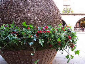 Girona Temps de Flors 2014. Pla&ccedil;a del Vi - Teatre Municipal
