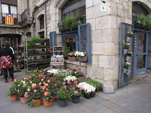 Girona Temps de Flors 2014. Pla&ccedil;a del Vi. Floristeria Flor a punt