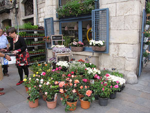 Girona Temps de Flors 2014. Pla&ccedil;a del Vi. Floristeria Flor a punt
