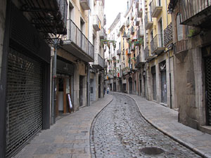 Girona Temps de Flors 2014. Espais, patis i exposicions diversos