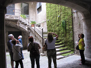 Girona Temps de Flors 2014. Patis del carrer de la For&ccedil;a